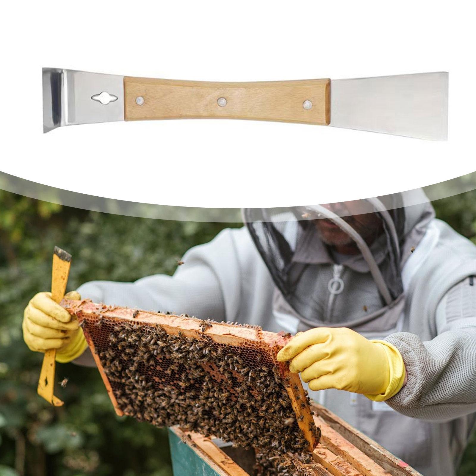 Outil de grattage de ruche en  - Workshop Tools Knife avis et prix